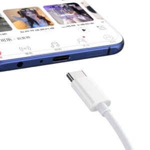 YESIDO YH38 Trådbundna USB-C In-Ear-hörlurar – Vita