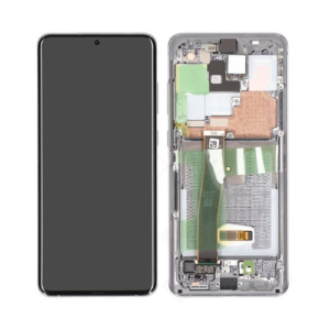 Samsung Galaxy S20 Ultra Skärm (utan frontkamera) - Grå